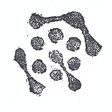 Web of Tomorrow logo rendered in ink with a hand-carved stamp.